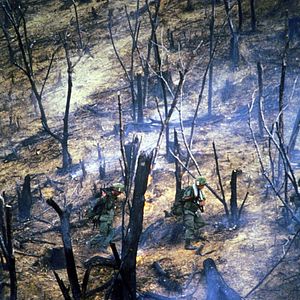 Fotoğraf Casualties of War