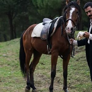 Fotoğraf Kanunsuz Topraklar