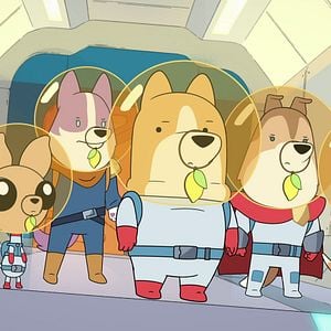 Fotoğraf Operasyon Hav Hav