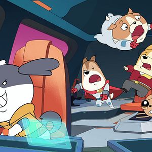 Fotoğraf Operasyon Hav Hav