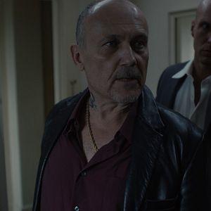 Fotoğraf American Badger