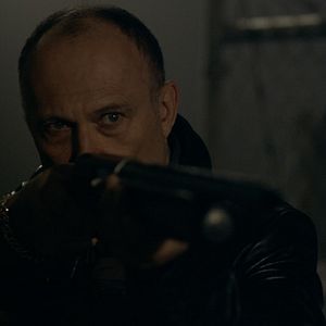 Fotoğraf American Badger