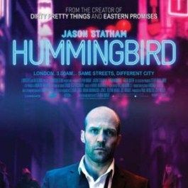 Fotoğraf Hummingbird