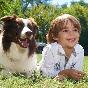 Fotoğraf Arkadaşım Max