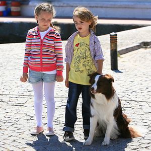 Fotoğraf Arkadaşım Max