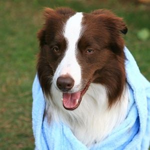 Fotoğraf Arkadaşım Max