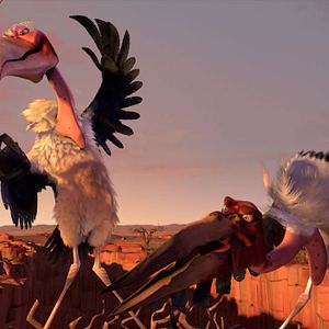 Fotoğraf Cesur Zebra