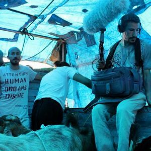 Fotoğraf Toprağa Uzanan Eller