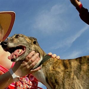 Fotoğraf Zor Kazanç