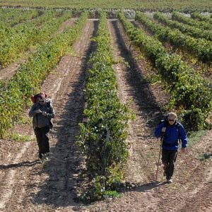 Fotoğraf Martin Sheen