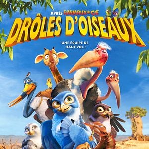 Fotoğraf Kuşlar Şehrinde Macera