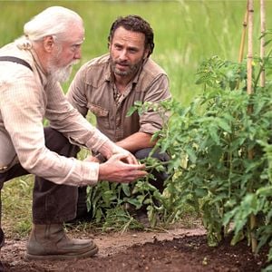 Fotoğraf The Walking Dead