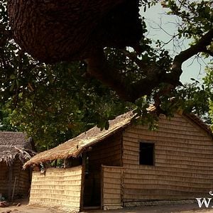 Fotoğraf Quem Se Importa