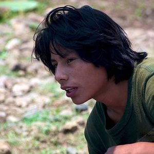 Fotoğraf La jaula de oro