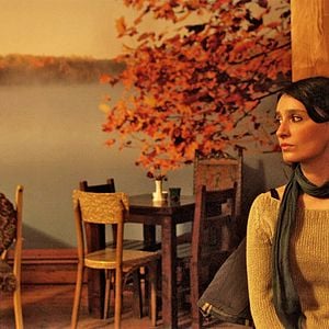 Fotoğraf Şimdiki Zaman