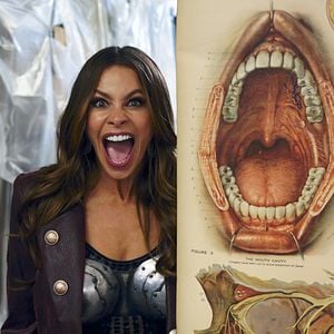 Fotoğraf Sofía Vergara