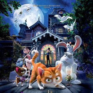 Fotoğraf Büyüler Evi: Sihirbaz Kedi