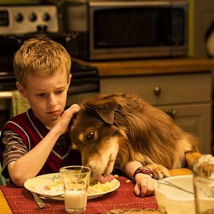 Fotoğraf Kyle Catlett