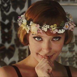 Fotoğraf Papatyalar