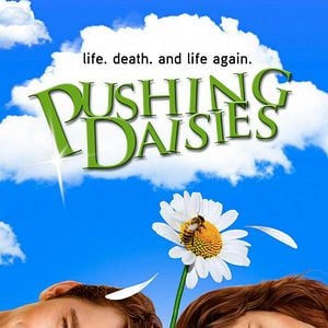 Fotoğraf Pushing Daisies