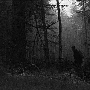 Fotoğraf Denizde İki Yıl