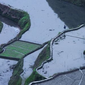 Fotoğraf Metro Manila