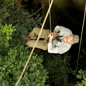 Fotoğraf Luc Jacquet