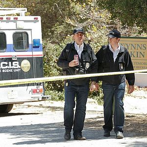 Fotoğraf Michael Weatherly