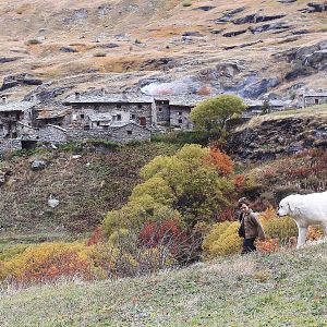 Fotoğraf Félix Bossuet