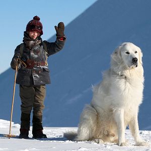 Fotoğraf Félix Bossuet