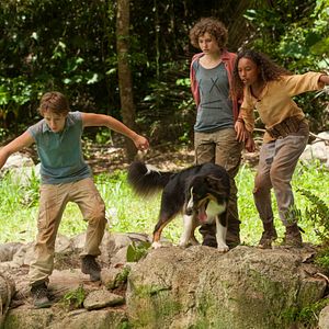 Fotoğraf Justus Schlingensiepen