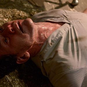 Fotoğraf Neil Napier