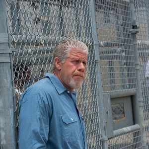 Fotoğraf Ron Perlman