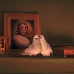 Fotoğraf Büyüler Evi: Sihirbaz Kedi