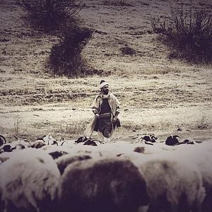 Fotoğraf Yunus Emre Aşkın Sesi