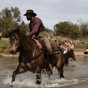 Fotoğraf Tim McGraw