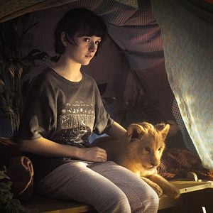 Fotoğraf Lou Lambrecht