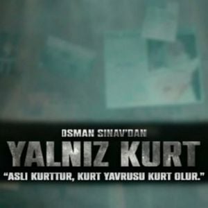 Fotoğraf Yalnız Kurt