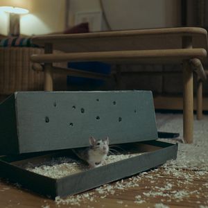 Fotoğraf Der menschliche Faktor