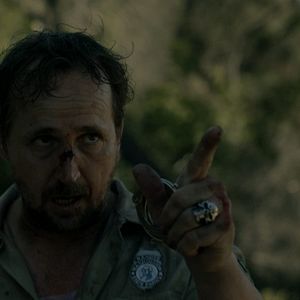 Fotoğraf The Clearing