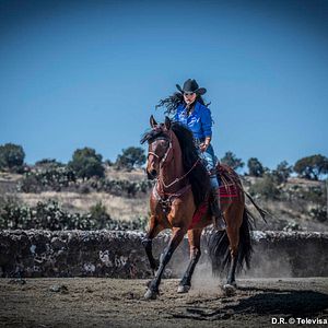 Fotoğraf Livia Brito