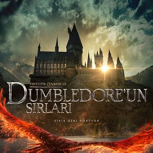 Fotoğraf Fantastik Canavarlar: Dumbledore'un Sırları