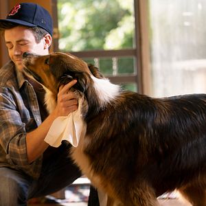 Fotoğraf Grant Gustin