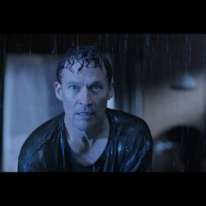 Fotoğraf The Requin