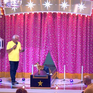 Fotoğraf Gérard Darmon