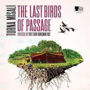 Fotoğraf Turna Misali