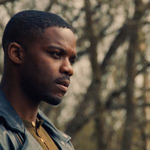 Fotoğraf The Violent Heart