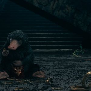 Fotoğraf Fantastik Canavarlar: Dumbledore'un Sırları