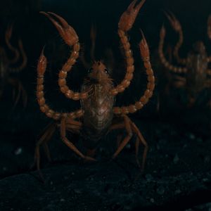 Fotoğraf Fantastik Canavarlar: Dumbledore'un Sırları