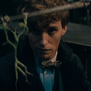 Fotoğraf Eddie Redmayne